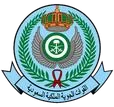 Royal Saudi Air Force